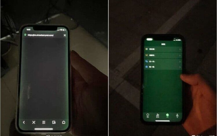 Владельцы iPhone 12 жалуются на зелёный экран. Что делать Владельцы iPhone 12 жалуются на зелёный экран. Что делать