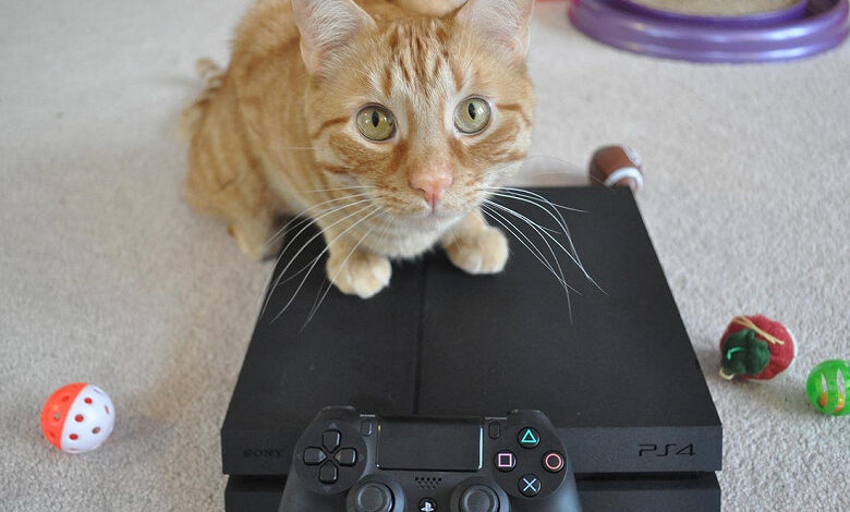 Sony обновила PlayStation 4 и там не только повышение стабильности Sony обновила PlayStation 4 и там не только повышение стабильности
