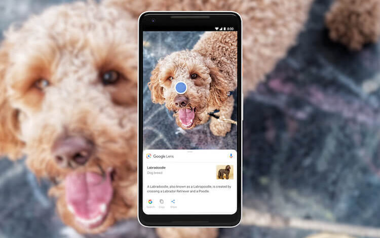 Что такое Google Lens, стоит ли его скачать и сколько людей уже сделали это