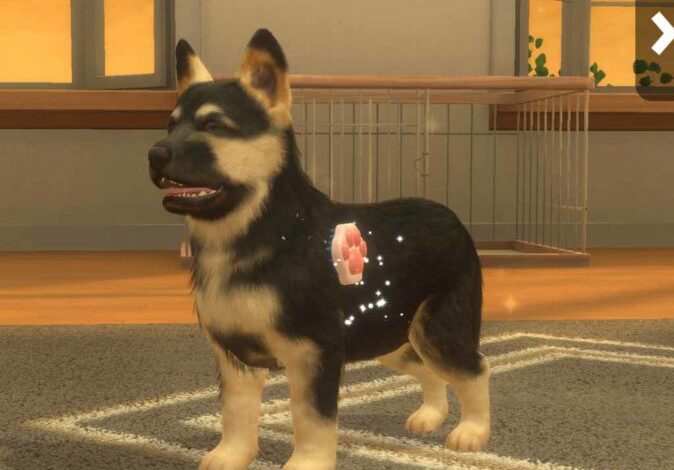 Вниманию любителей собак и животных! with My DOG выходит IOS и Android 15 февраля