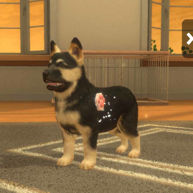 Вниманию любителей собак и животных! with My DOG выходит IOS и Android 15 февраля