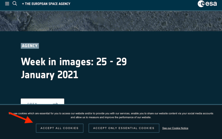 Достали cookie в Safari? Вот как легко и просто их заблокировать