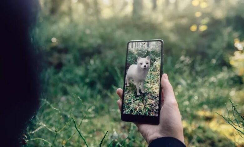 В Google появились новые 3D-животные. Как смотреть на Android В Google появились новые 3D-животные. Как смотреть на Android