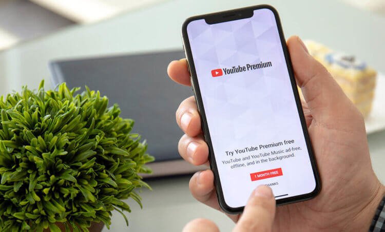 Отключайте YouTube Premium, если ещё не сделали этого Отключайте YouTube Premium, если ещё не сделали этого