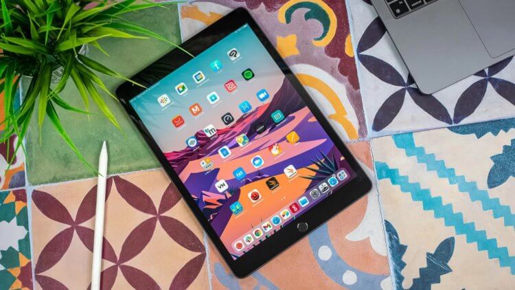 Новый iPad 2022: что известно про самый дешёвый планшет Apple