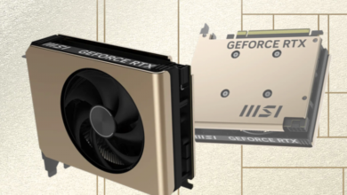Представлена самая маленькая видеокарта GeForce RTX 5060