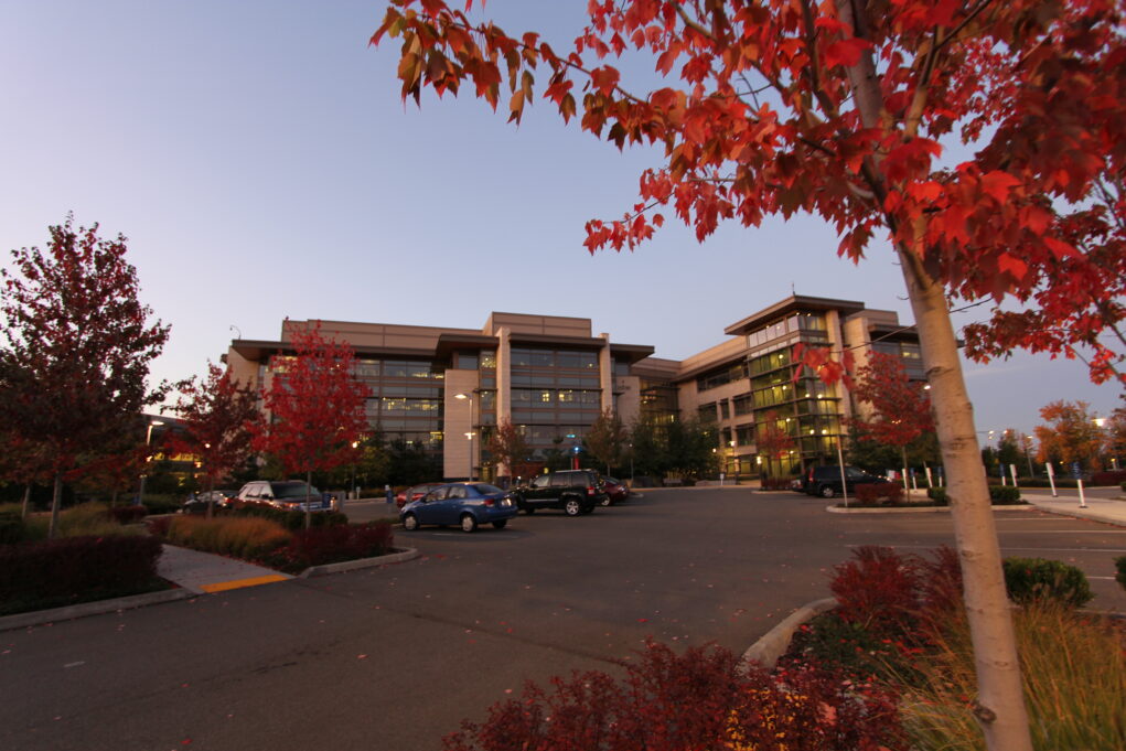 «Корпорации вообще было наплевать на Xbox до покупки Activision Blizzard»: Разработчик объяснил, что творится в Microsoft