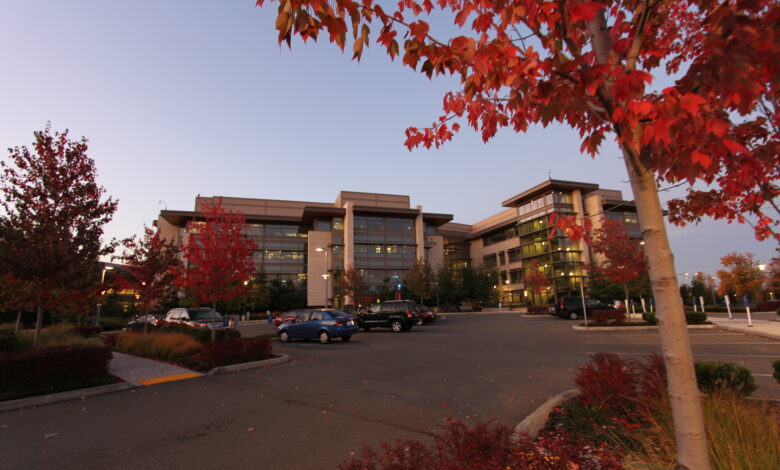 «Корпорации вообще было наплевать на Xbox до покупки Activision Blizzard»: Разработчик объяснил, что творится в Microsoft